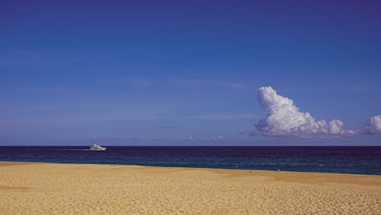 white ship on sea under blue sky during daytime in Cabo San Lucas Mexico