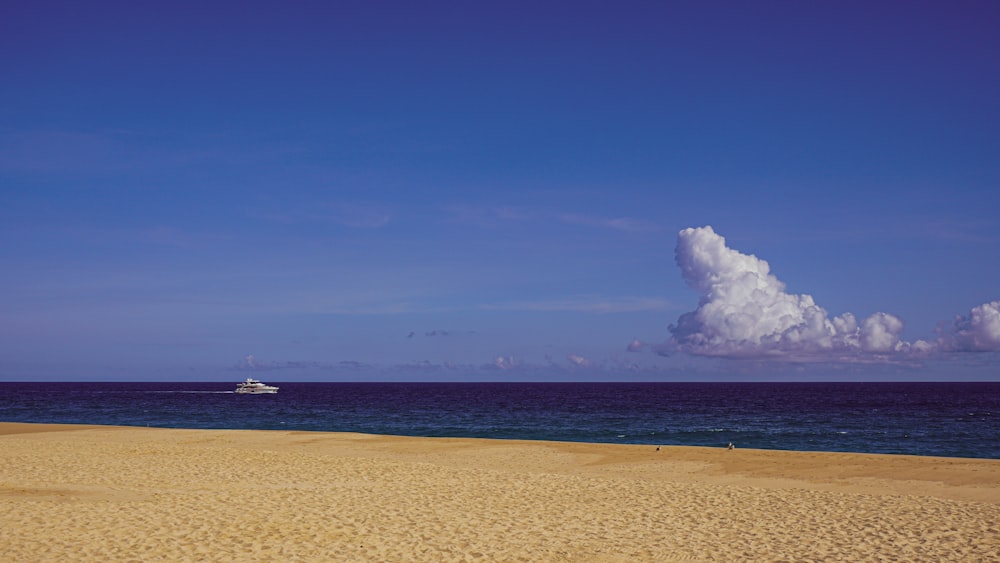 white ship on sea under blue sky during daytime