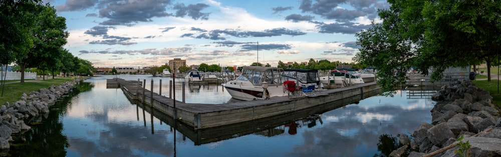 white and black boat on dock during daytime