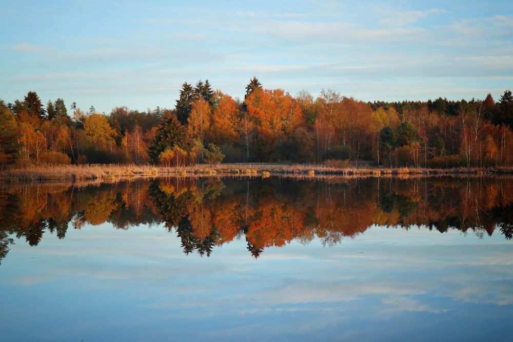 green trees beside lake under white sky during daytime