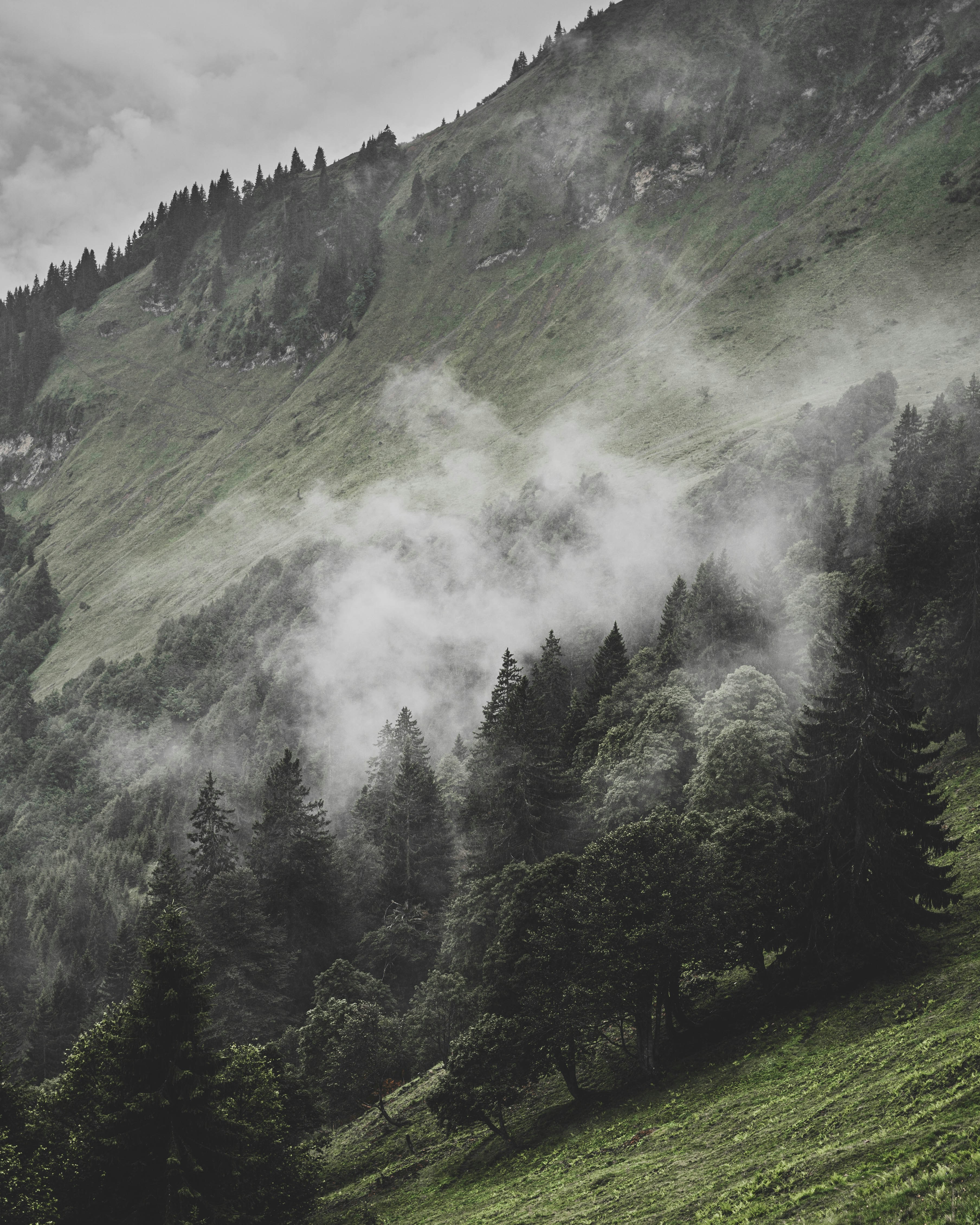 Photo by floppypaste