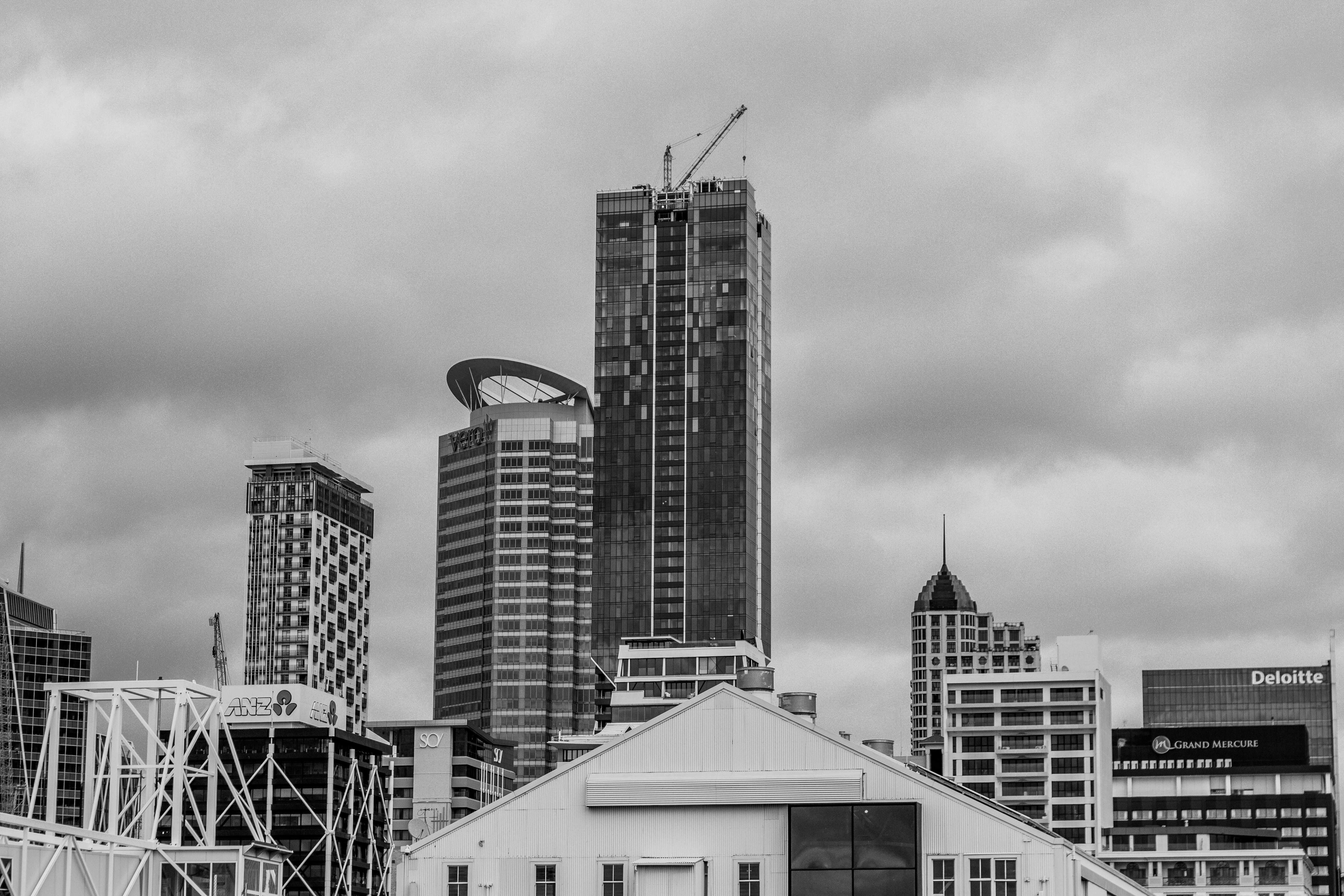 auckland image