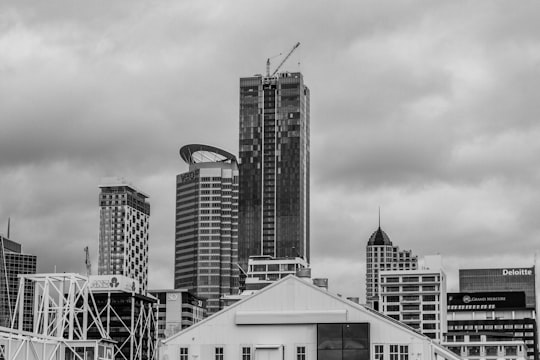 None in Auckland CBD New Zealand