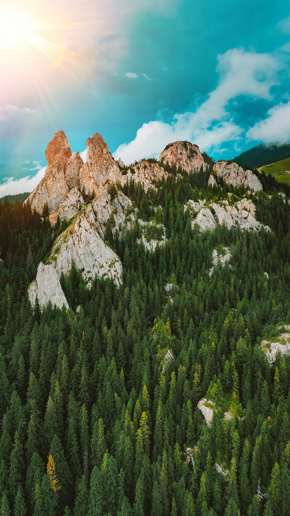 green pine trees near brown mountain under blue sky during daytime