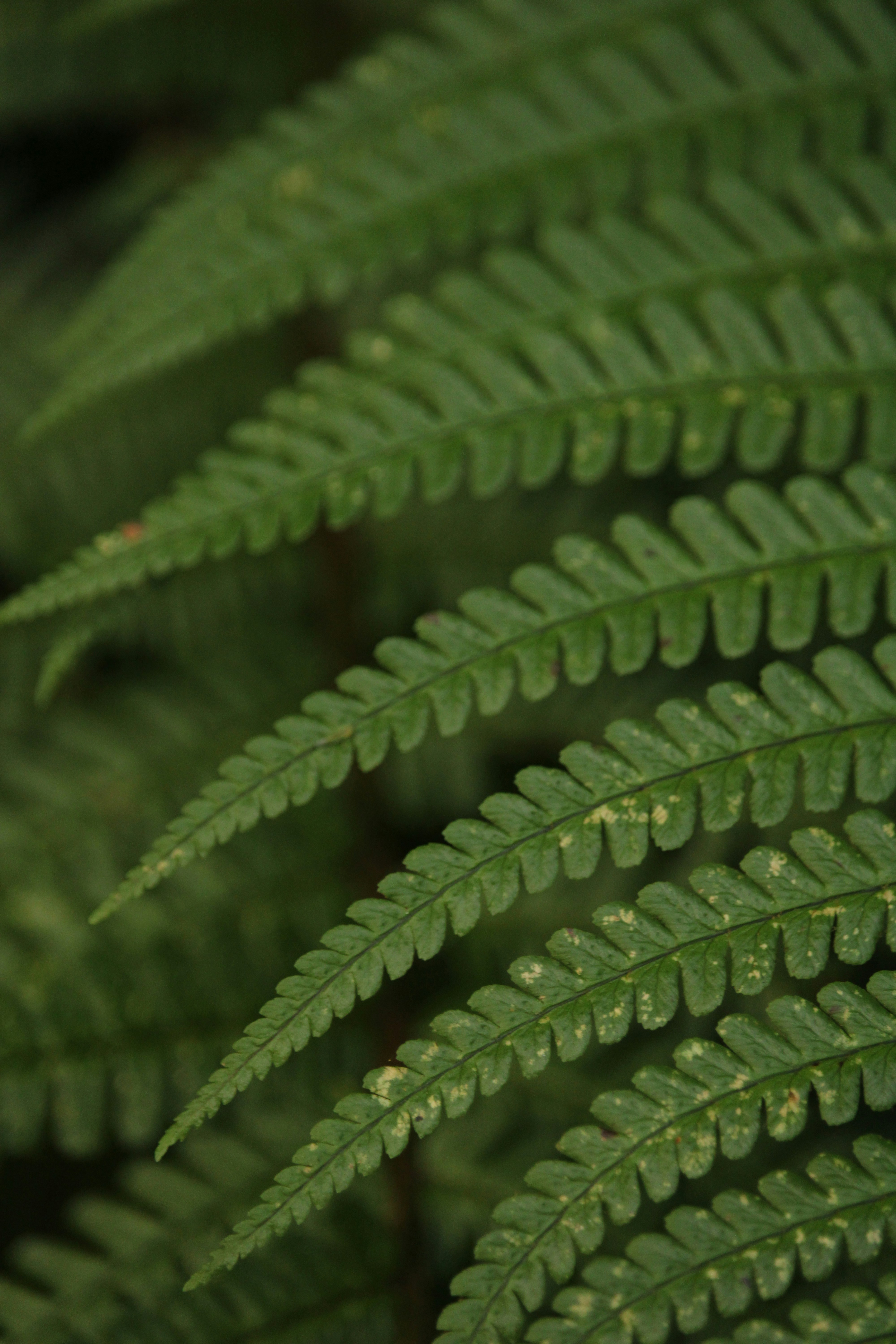 Photo by every_small_step_