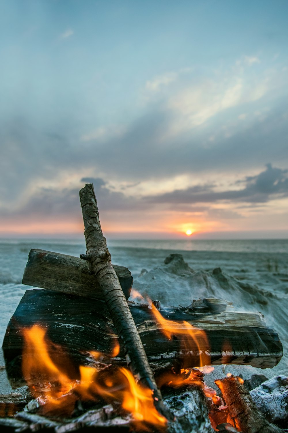 bûche de bois brun sur le bord de la mer au coucher du soleil