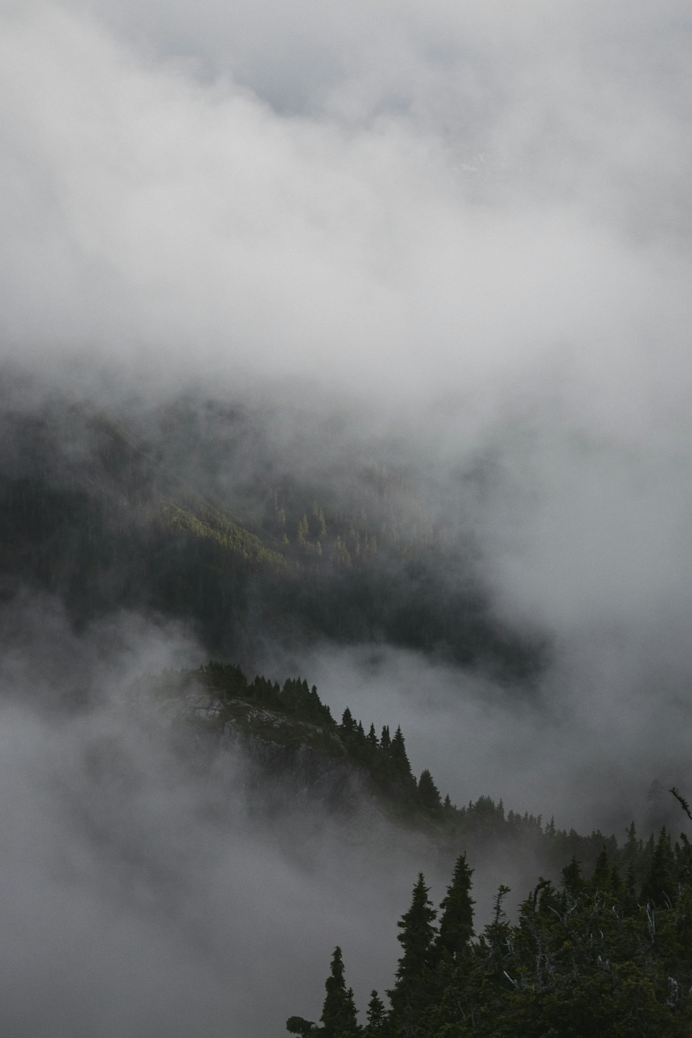 alberi verdi sulla montagna coperta di nuvole