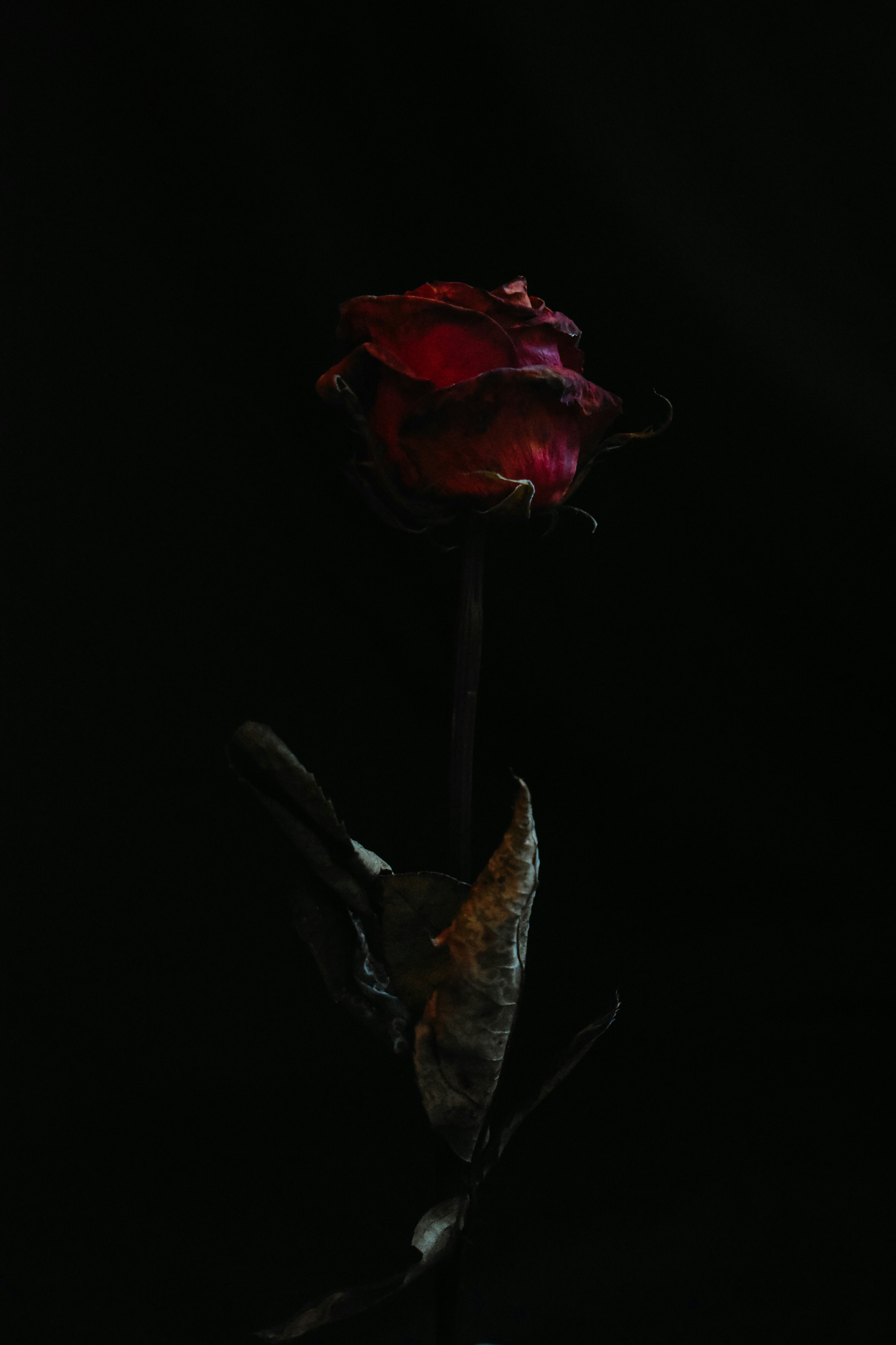 Photo by mariahhewines