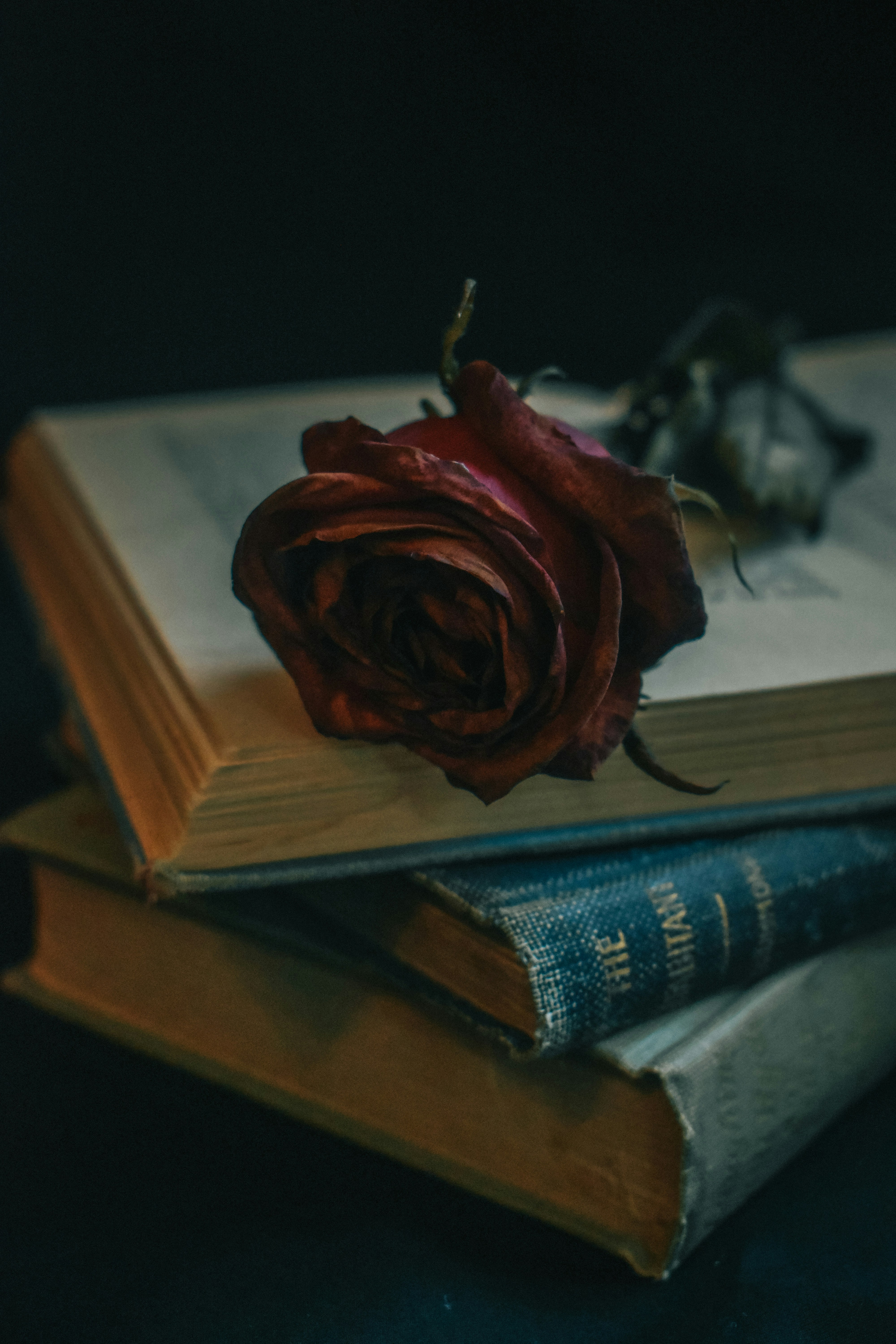 Photo by mariahhewines