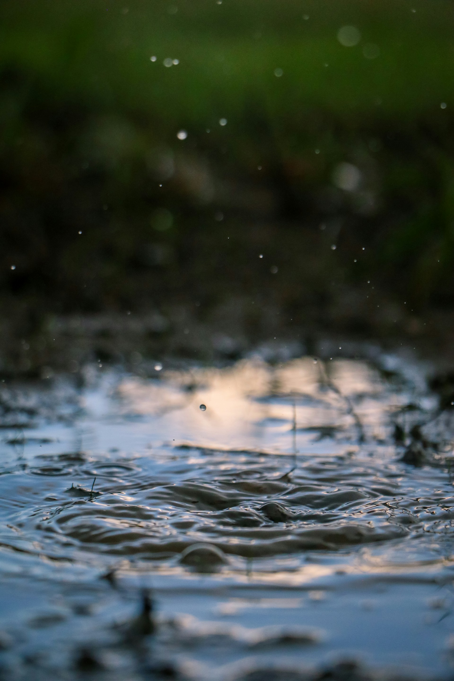 water droplets on body of water