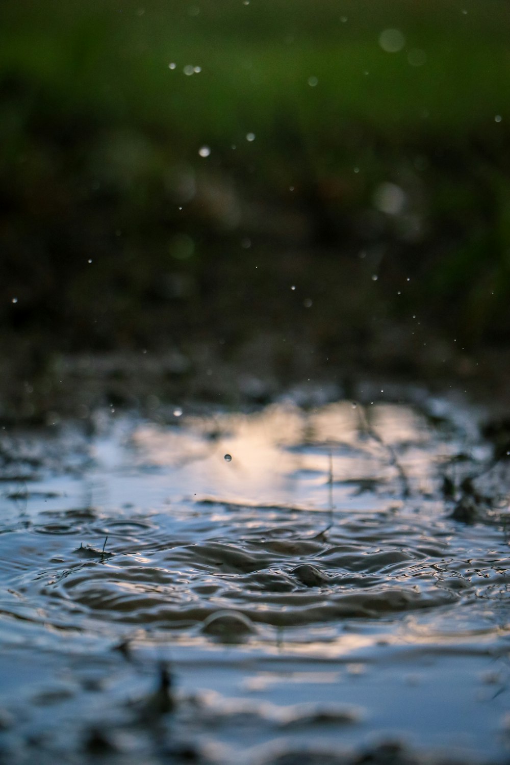 water droplets on body of water