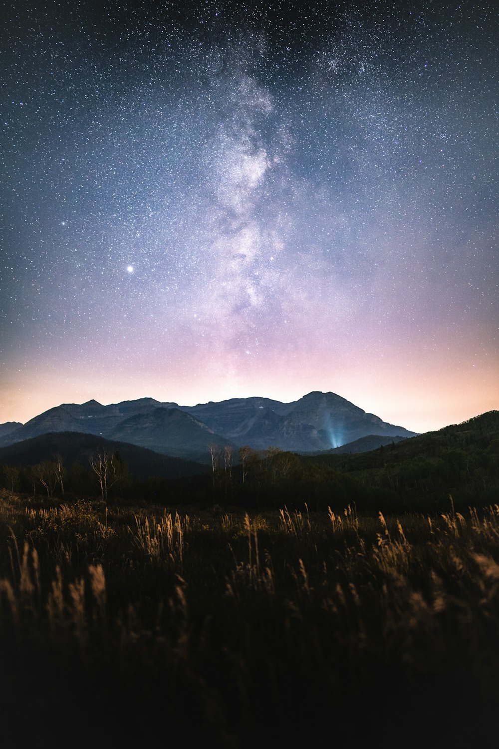 green grass field near mountain under starry night