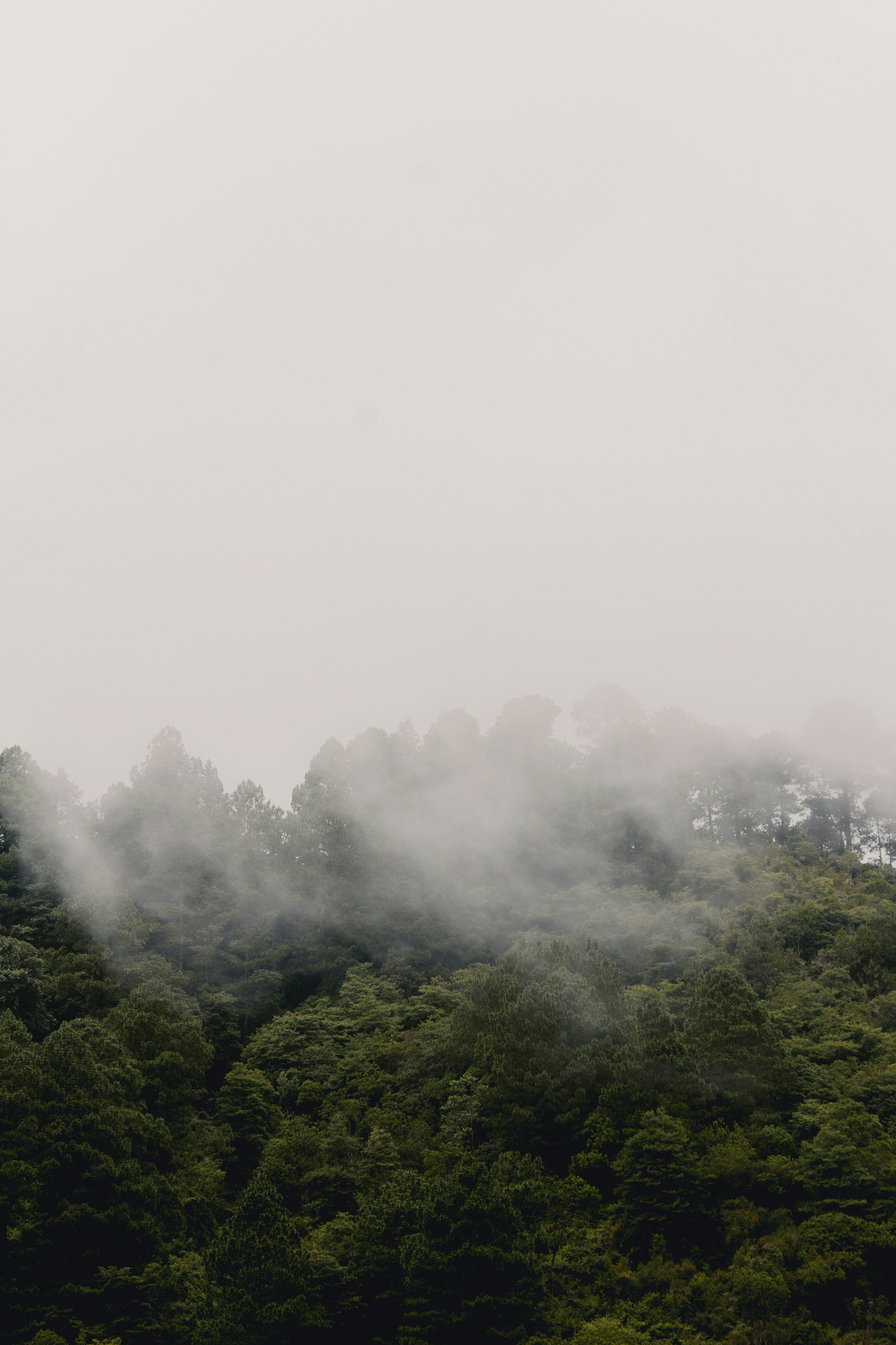 Photo by mccarthybeckan