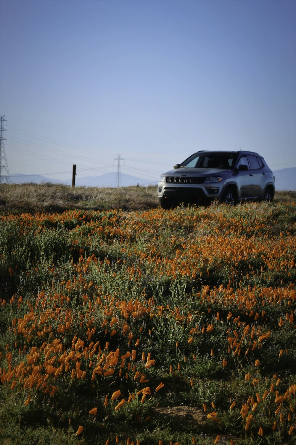 black suv on brown grass field during daytime