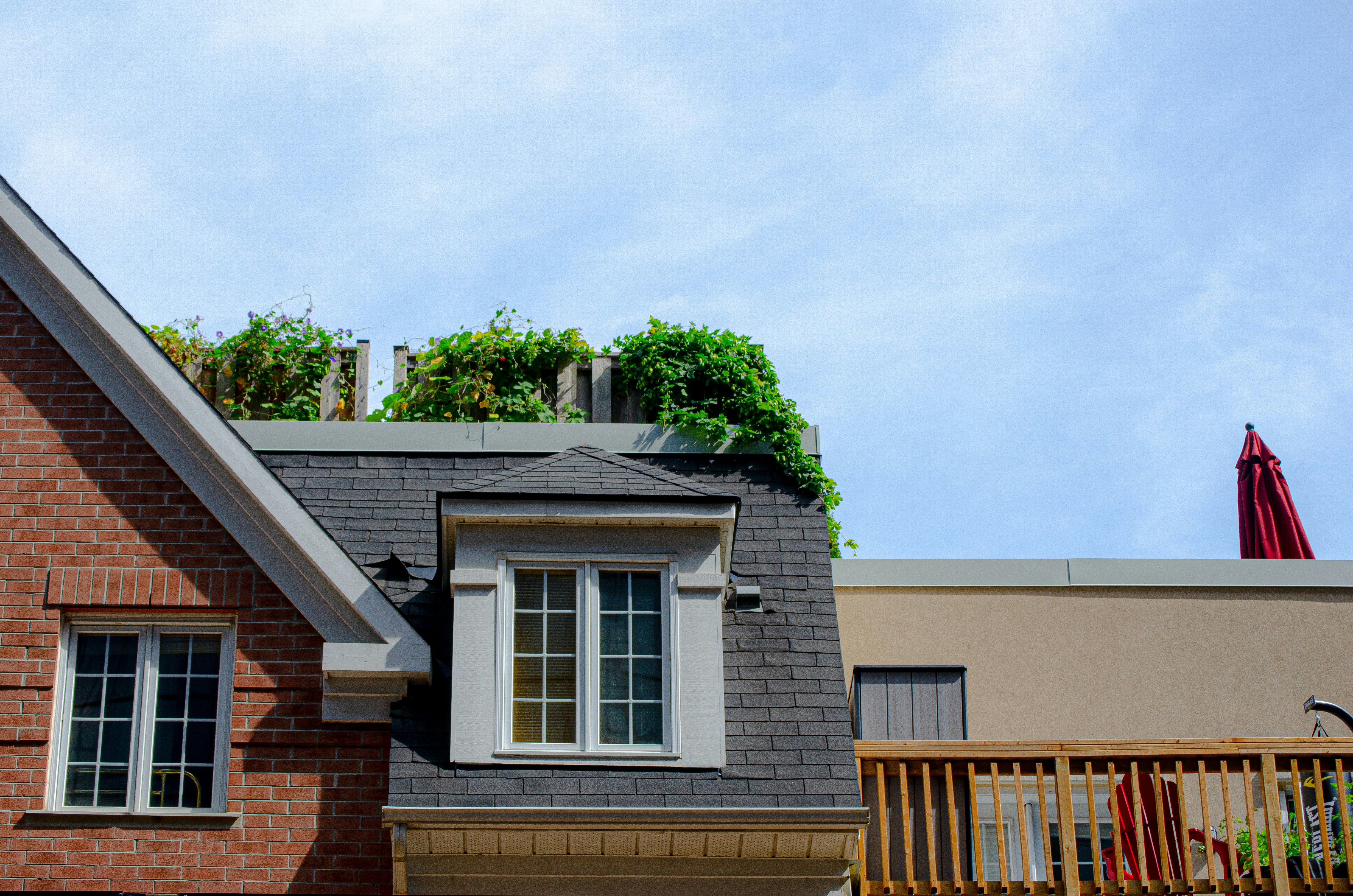 Moisture, Mould, and the Great Lakes Effect: How Niagara's Climate Is Quietly Destroying Your Roof