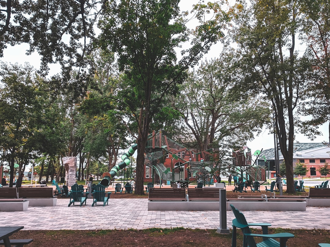 people sitting on bench under green trees during daytime