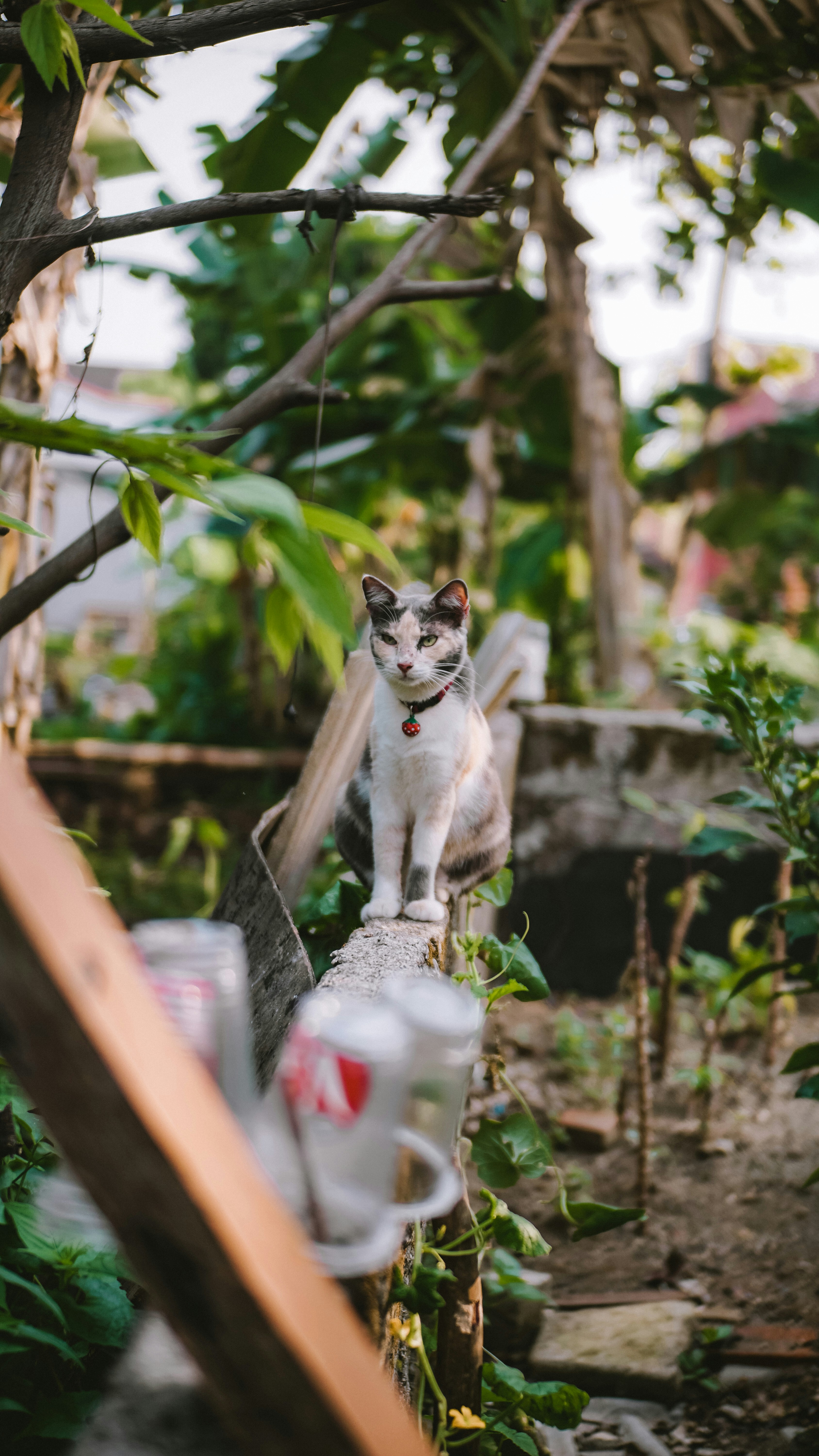 Photo by gemasaputera