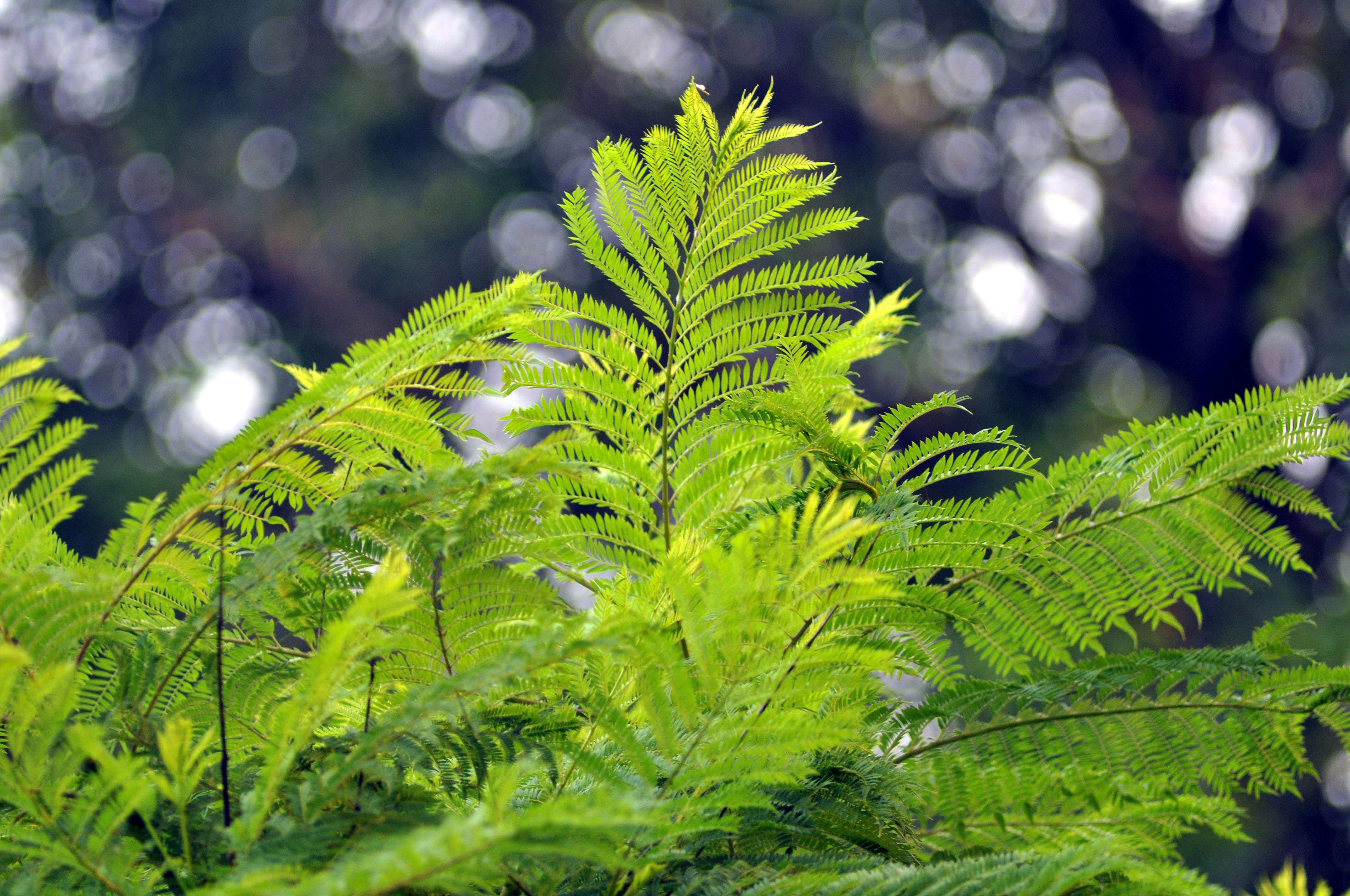 Photo by aryanghauri2020