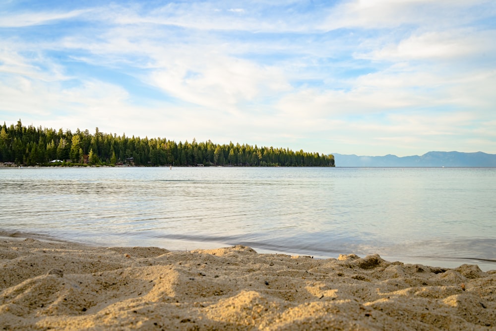 green trees beside body of water under white clouds during daytime