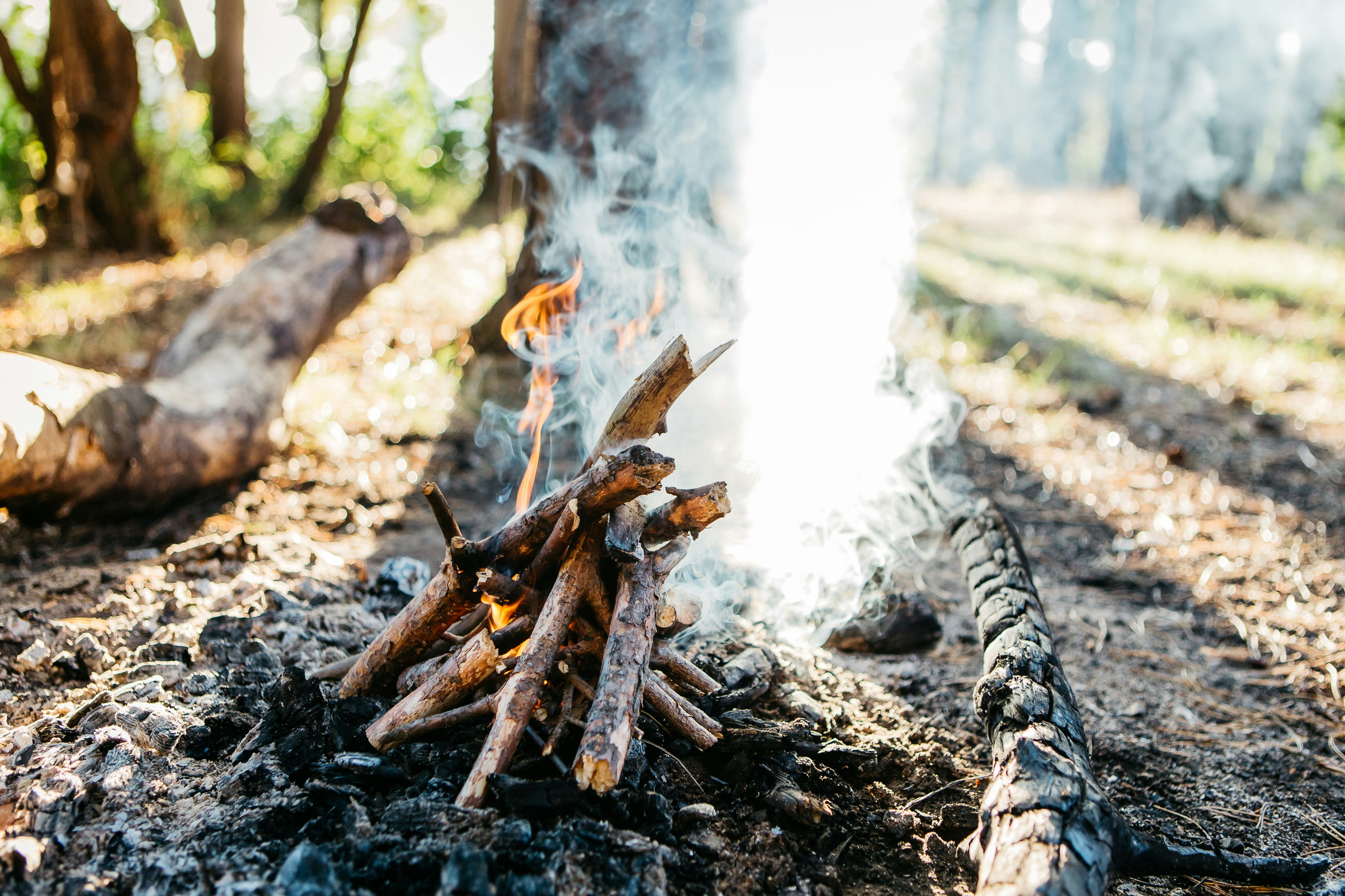 Rezervuok stovyklą dabar