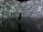 A silhouette of a person stands in front of an immersive digital wall covered in a chaotic array of white letters and symbols on a dark background. The reflective floor adds depth, mirroring the imagery above.