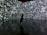 A silhouette of a person stands in front of an immersive digital wall covered in a chaotic array of white letters and symbols on a dark background. The reflective floor adds depth, mirroring the imagery above.