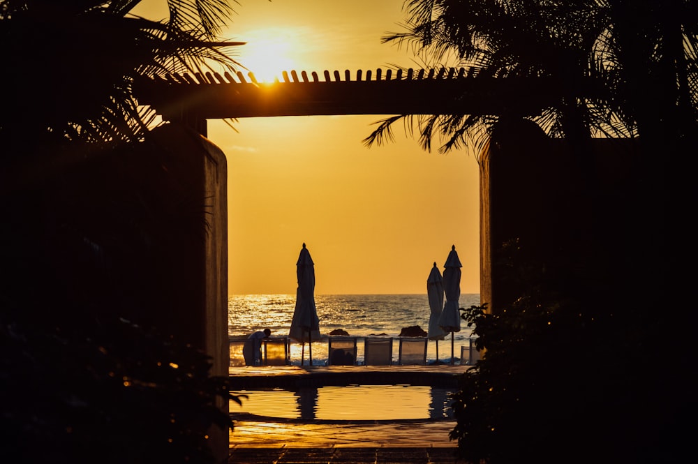 silhouette of people walking on sidewalk near body of water during sunset