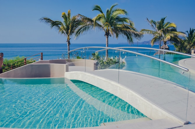 swimming pool near palm tree during daytime
