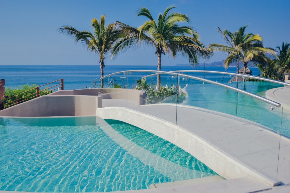 Piscine près d’un palmier pendant la journée