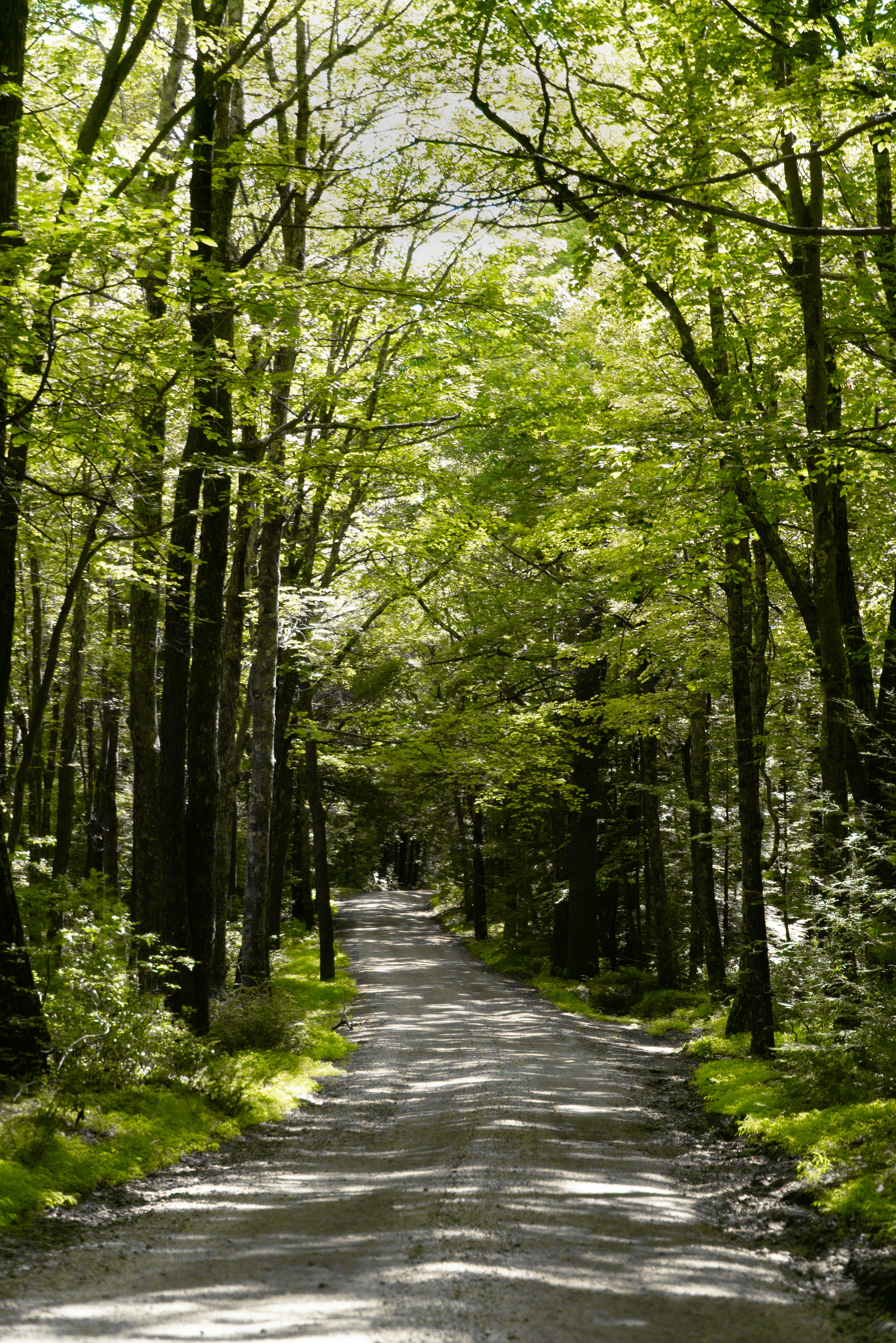 Photo by benjaminzhao