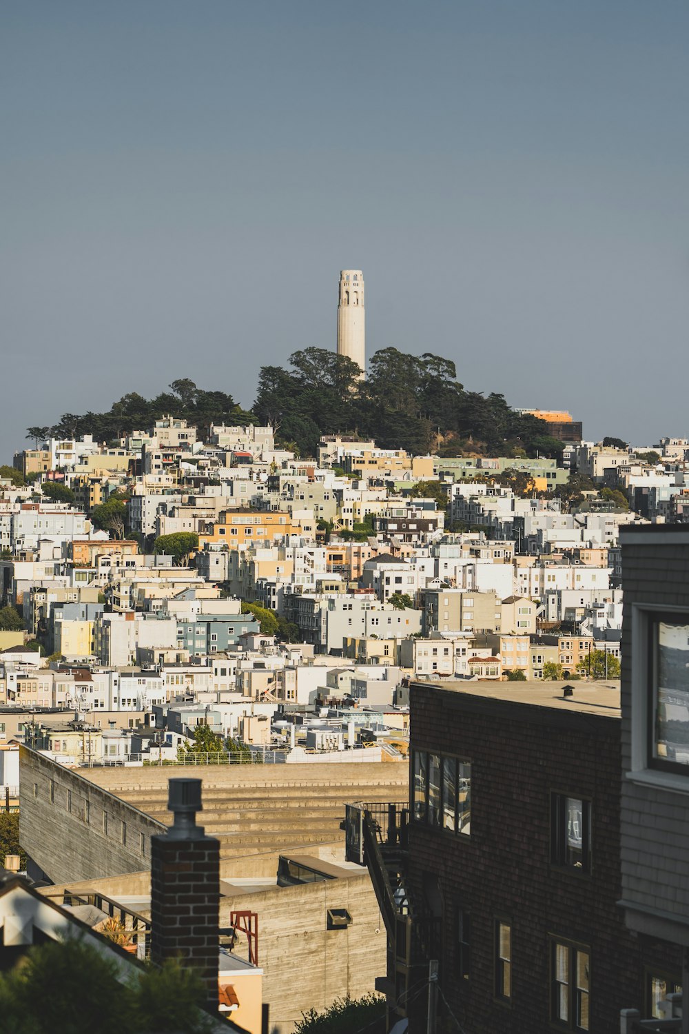 city with high rise buildings during daytime