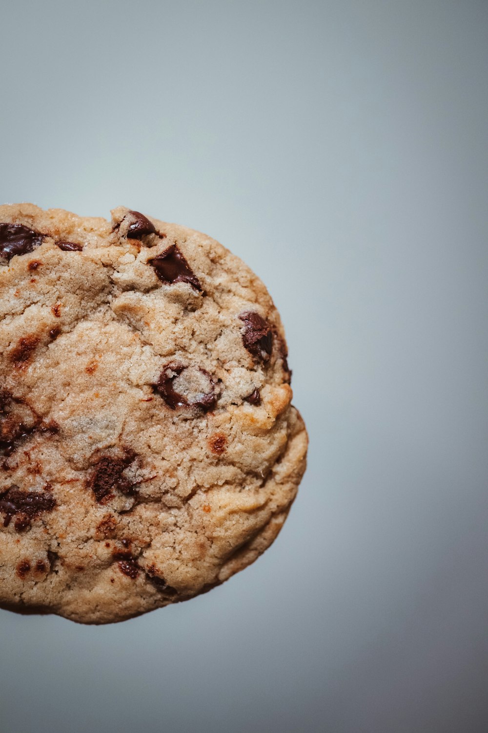 brown cookie on white surface