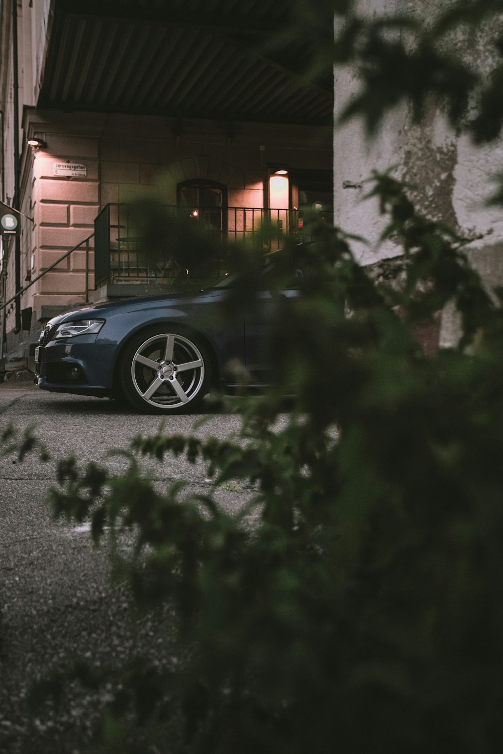 black car parked beside green tree