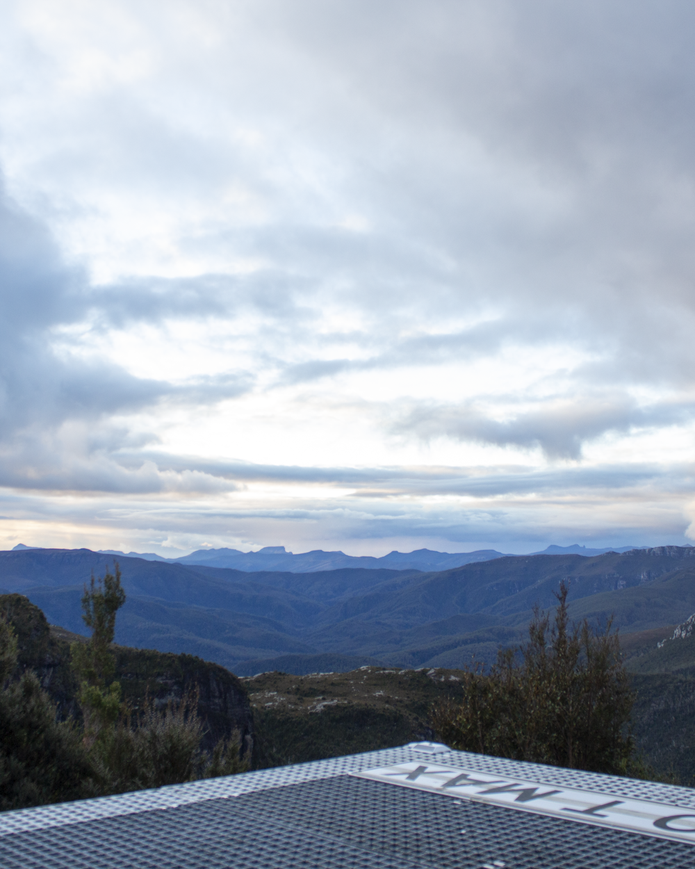 green trees on mountain under white clouds during daytime