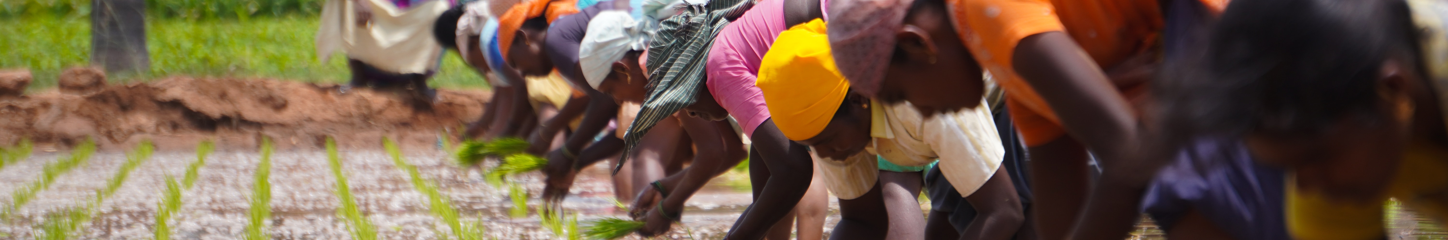 SBI's loans helped more than 14Mn farmers and small businesses in FY2021