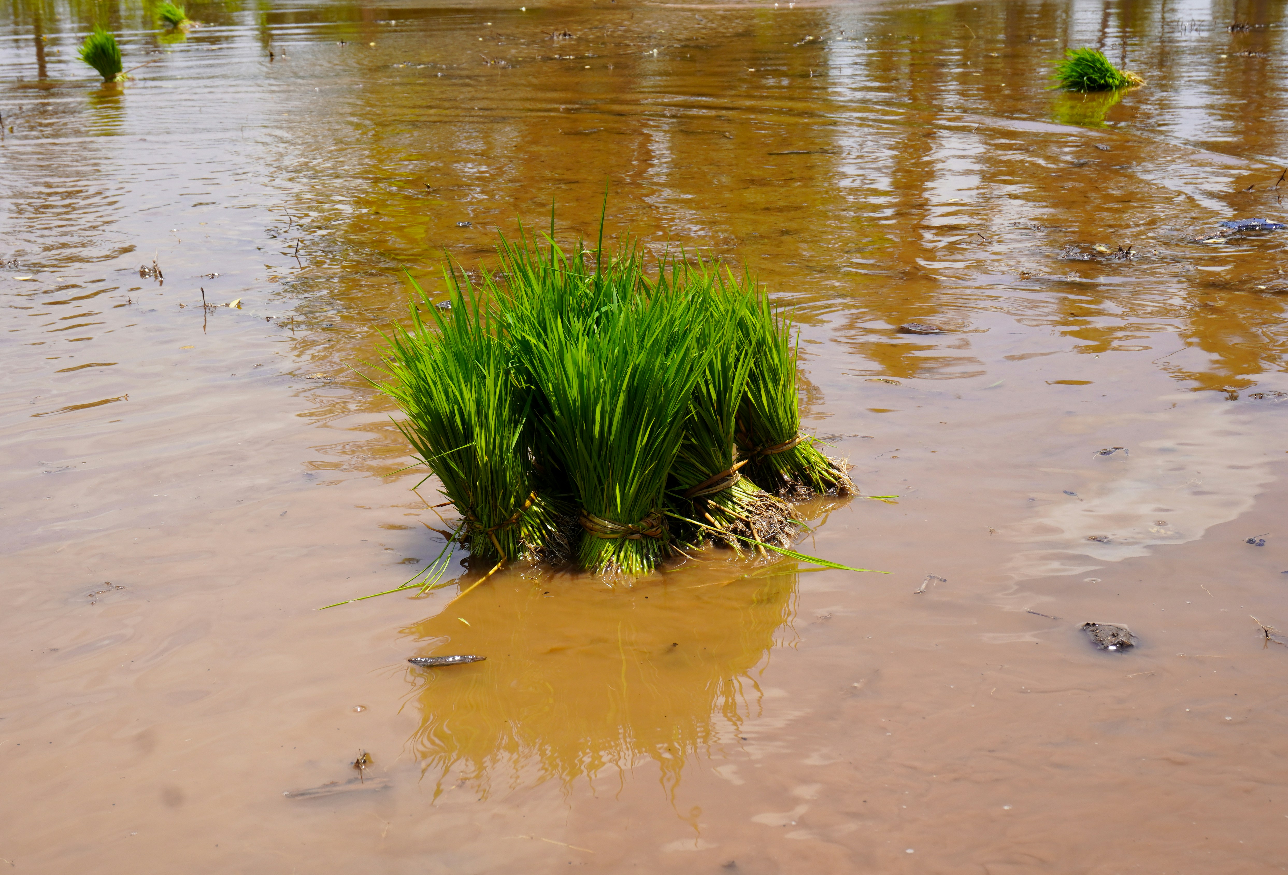 Photo by story_from_slowman