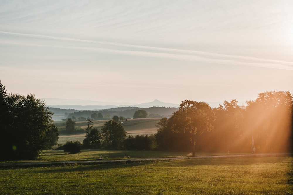 green grass field during sunset