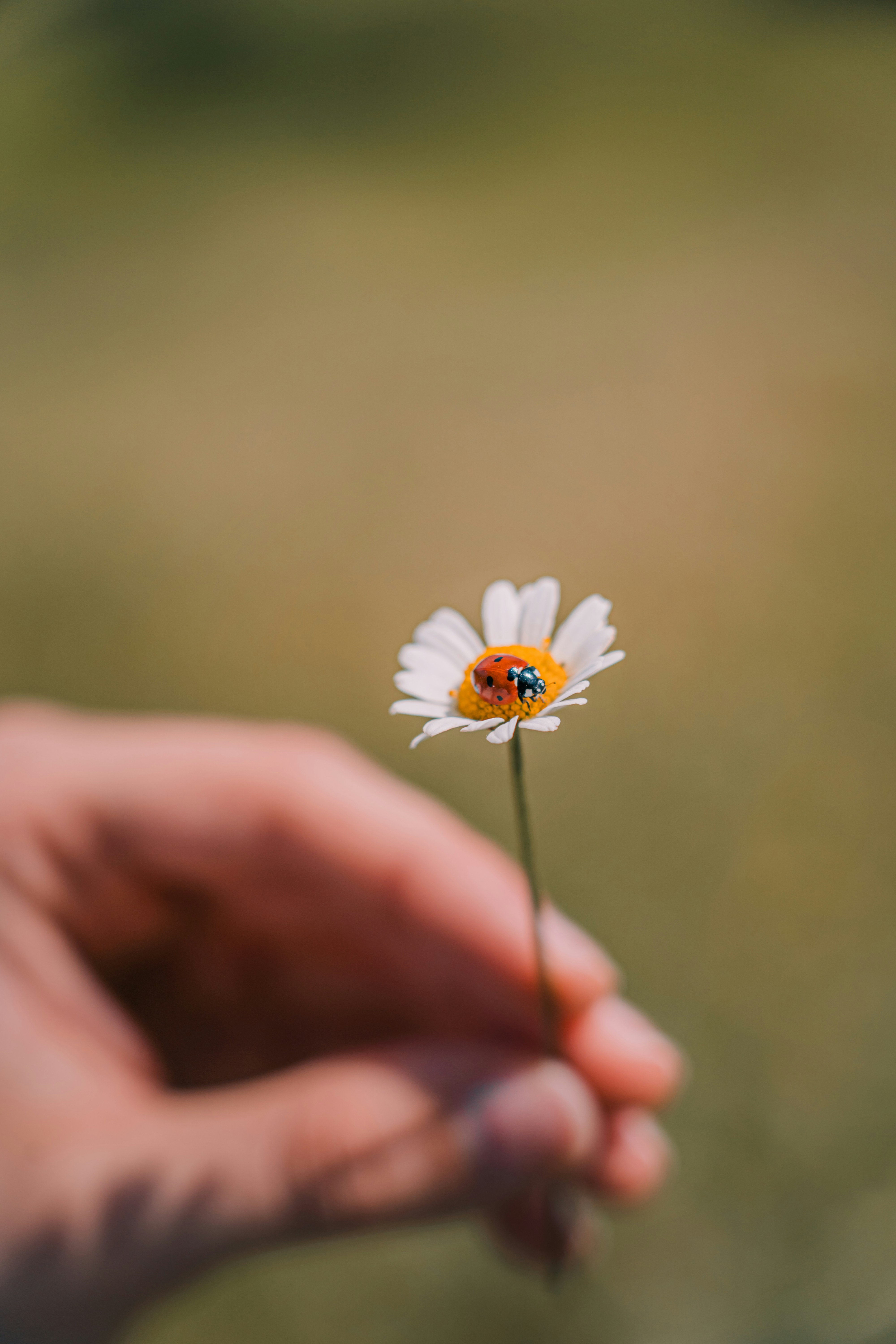 Photo by _michaelsala_