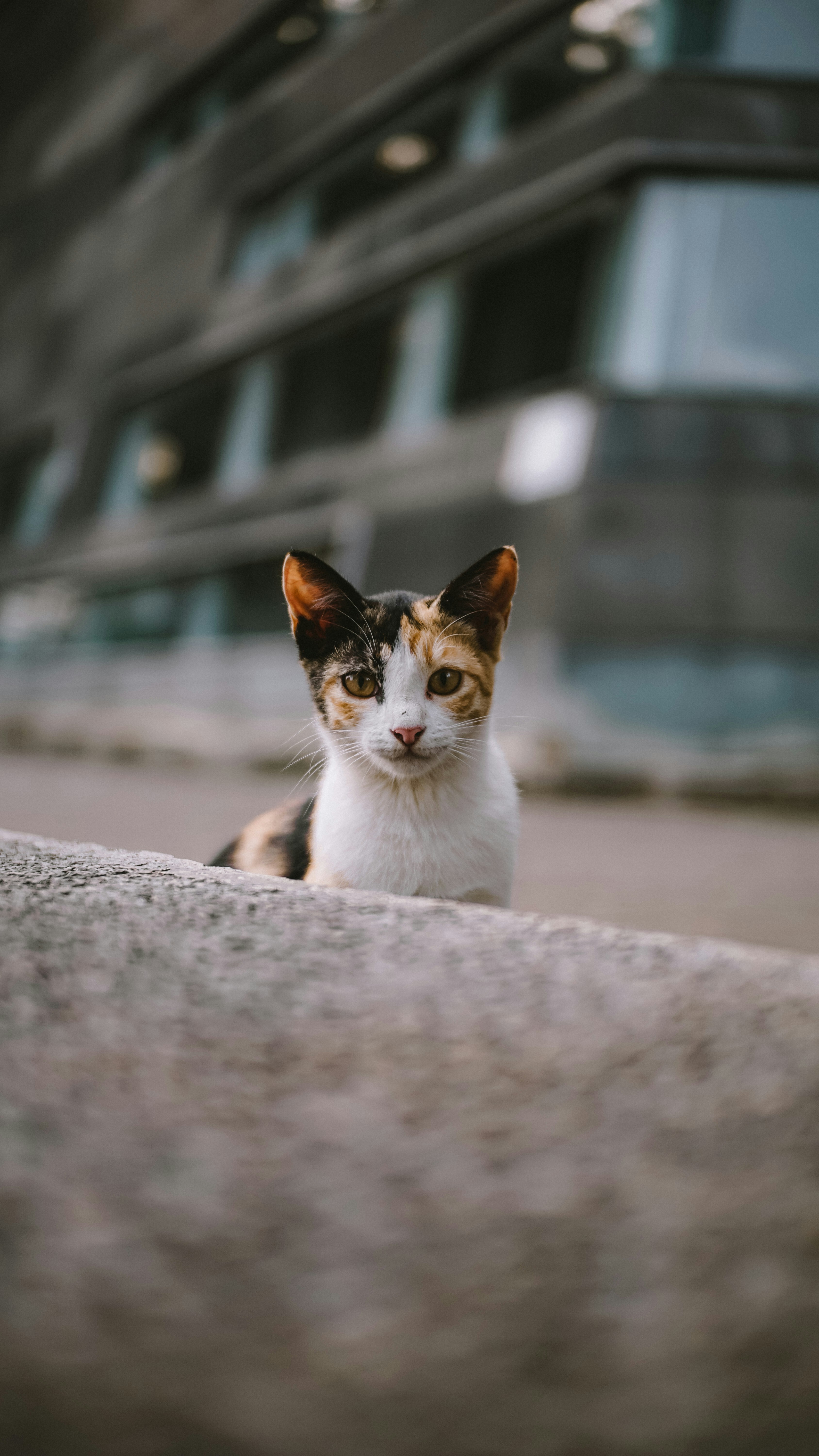 Photo by gemasaputera