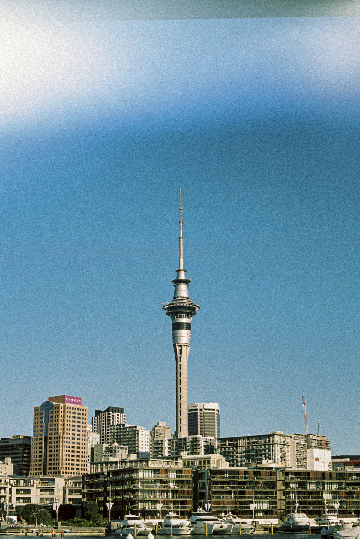 Auckland tour highlight