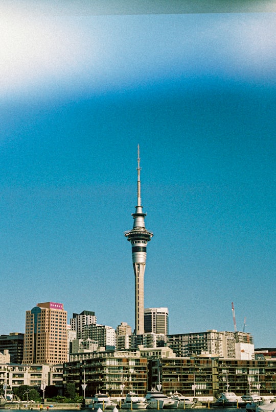 city skyline under blue sky during daytime in Sky Tower New Zealand