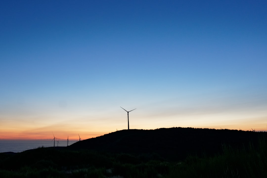 wind turbines on green grass field during sunset