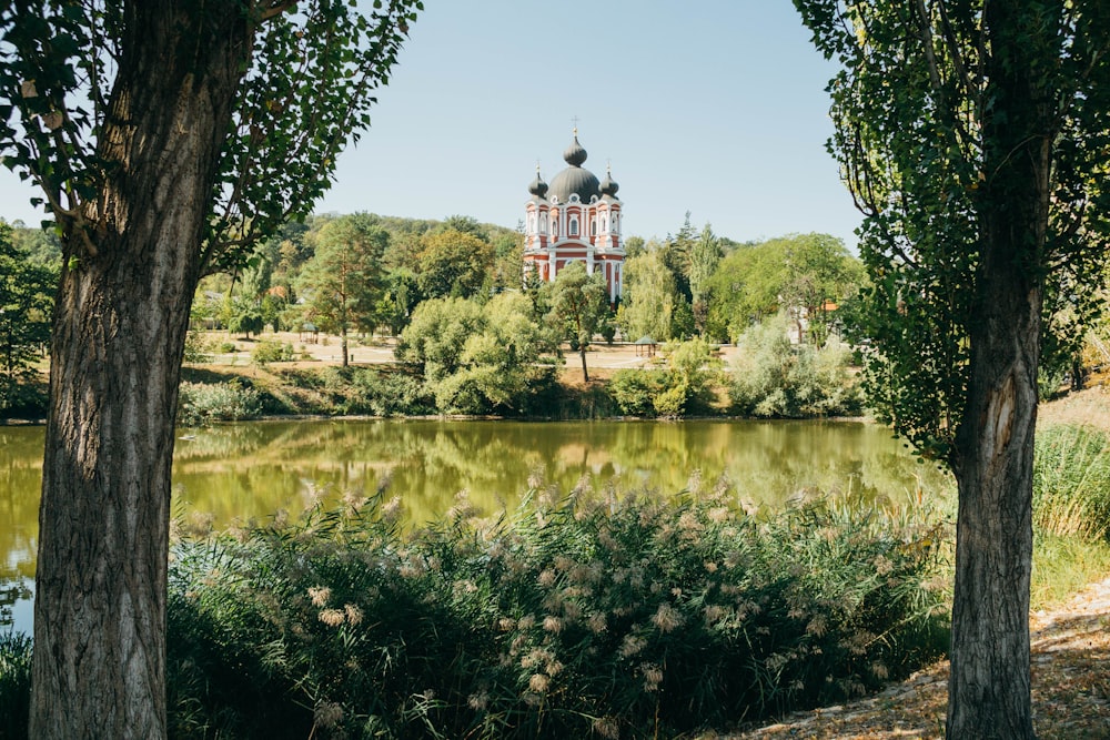 arbres verts près d’un plan d’eau pendant la journée