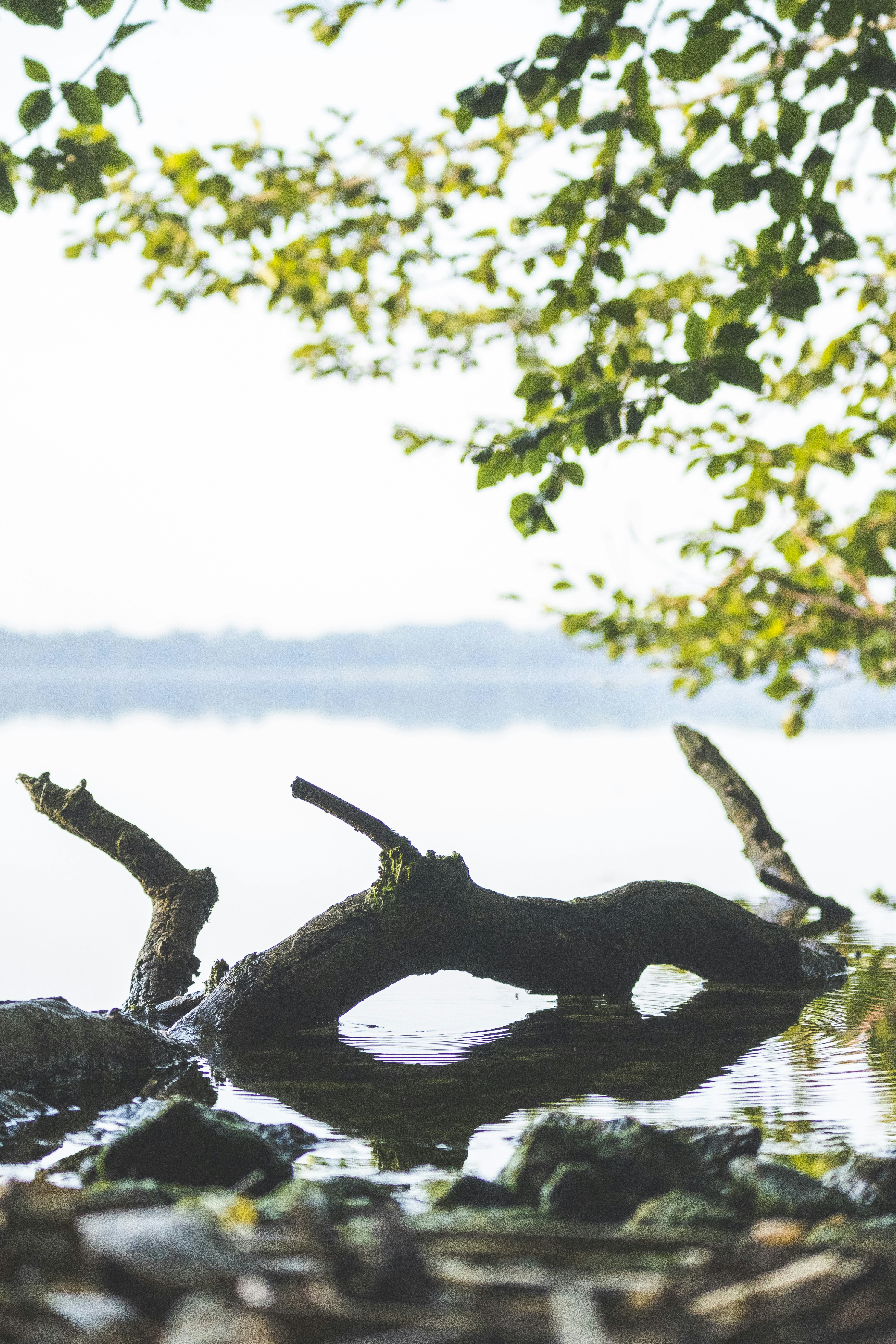 Photo by michaelheld