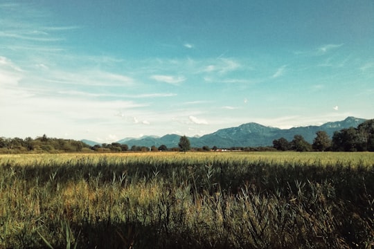 green grass field under blue sky during daytime in Chiemsee Germany