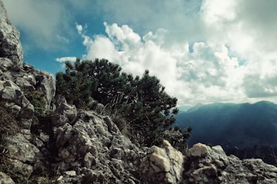 green trees on mountain under blue sky during daytime muted google meet background