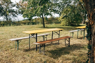 brown wooden picnic table on green grass field during daytime