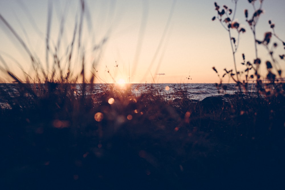 silhueta das pessoas na praia durante o pôr do sol