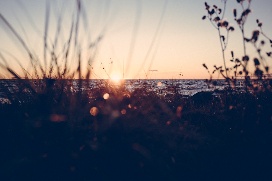 Copenhagen Like a Local: The Insider's Guide to Experiencing Denmar… — Copenhagen Like a Local