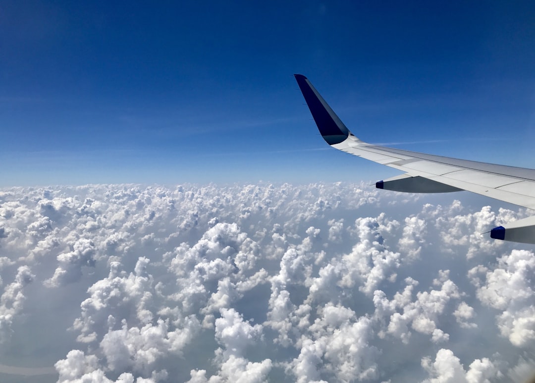 Crowded Skies